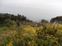 Site du Jardin Botanique Hanbury