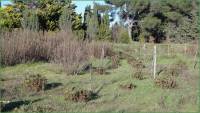 Site INRA
